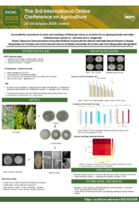 tanha poster.pdf