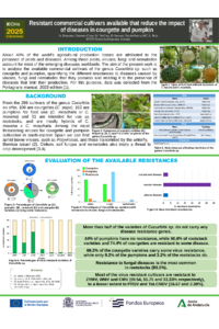 Resistant commercial cultivars available that reduce the impact of diseases in courgette and pumpkin.pdf
