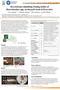 IECF2020_legzdina.pdf
