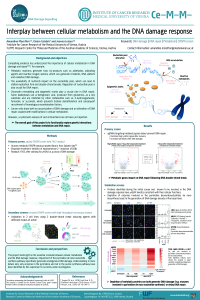 sciforum-041919_poster_IECC2021.pdf