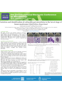Poster ECM2023_Antonuccio and Sauka.pdf