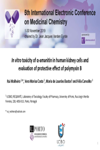 Presentation PDF - Rui Malheiro.pdf
