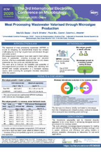 Sousa et al._IECM2025.pdf