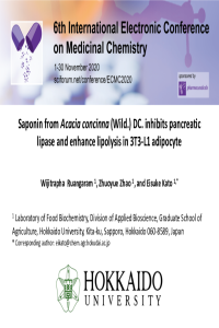 ECMC 2020_Wijitrapha R.pdf