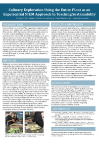 vravick.IOCES2026.pdf