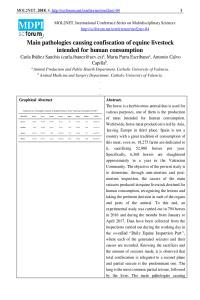 mol2net-03_MOL2NET-2018-Main pathologies causing confiscation of equine livestock intended for human consumption.pdf