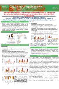 poster1.pdf