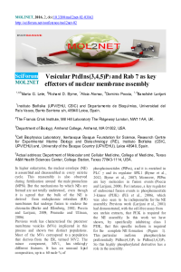mol2net-02_3863_slides.pdf