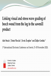 IECF2020 - Straze_et_al.pdf