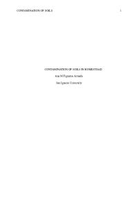 homestead.pdf