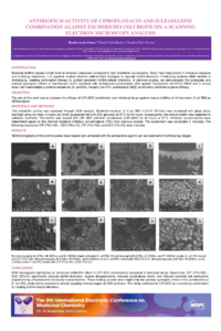 Ayala Gómez et al.pdf