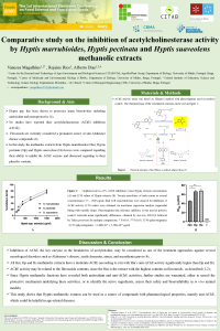 poster_Foods_VM_23.10.pdf