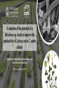 Miguel Ayuso Calles_ppt.pdf