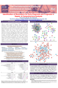 IECGE2024 poster.pptx.pdf