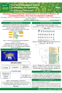 Poster_Juan_Jaramillo.pdf