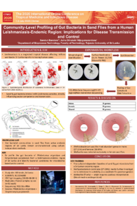 sciforum-176502 Poster.pdf