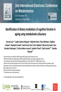 IECM2017_DorrainLOW.pdf