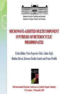 ECSOC24 presentation_Erika Bálint.pdf