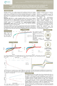 BB AMPS Poster.pdf