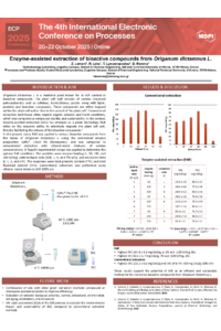 ECP 2025.pdf