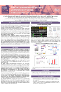 Sandeep CLRN1 Poster.pdf