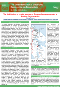 Bombus lucorum complex Fennoscandia.pdf