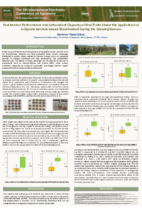 POSTER IECAG 2025.pdf