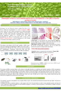 POSTER IOCE 2026.pdf