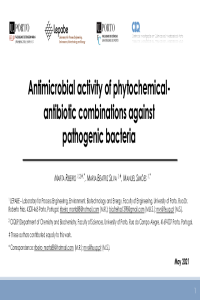 Presentation ECA 2021_Ribeiro et al..pdf