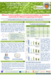 sciforum-162892.pdf