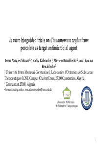 Presentation 9.pdf