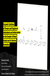 ZieniukSlides.pdf