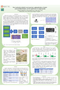 sciforum-095193_TimofeyKhudykh.pdf