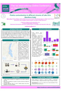 Alessi_Mattia.pdf