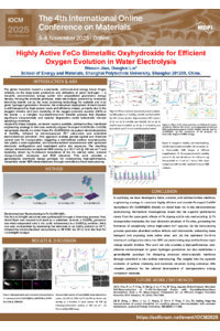 IOCM 2025 - poster .pdf