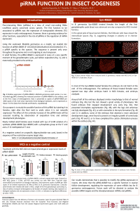 Lancho-Exposito poster.pdf