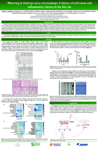 Painel blister 2021 (1).pdf