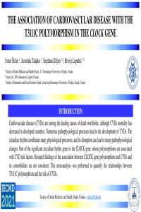 Skrlec_ppt_IECM2021.pdf