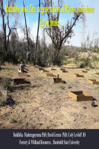 Post-fire regeneration Madurapperuma et al..pdf