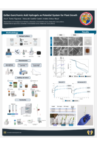 poster.pdf