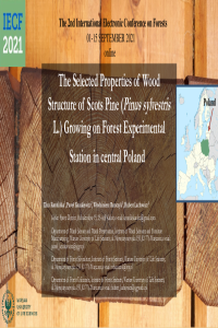 047263-slides-revised.pdf