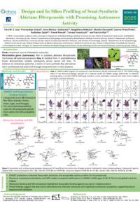 Poster_Vera.pdf