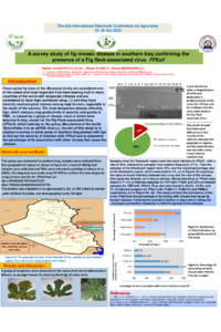 Search poster.pdf
