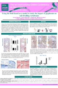 Poster Teresa Chianese_Giugno 2026.pdf