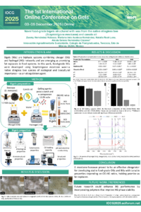 sciforum-142613 Poster.pdf