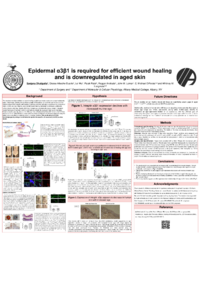 sciforum-107683.pdf