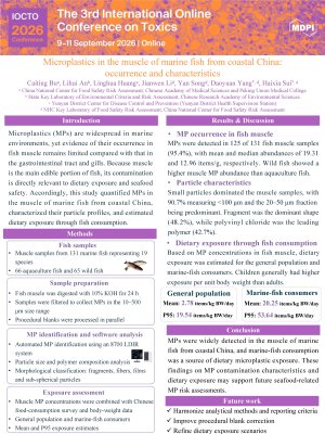 Poster.pdf