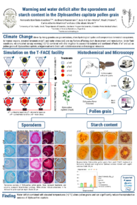 Poster_IECHo2025_FBA.pdf