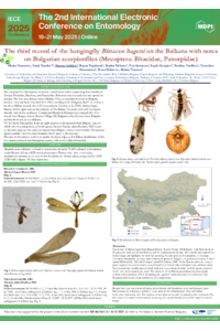 MecopteraPoster (3).pdf