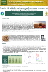 Muntean Edward NIRS.pdf